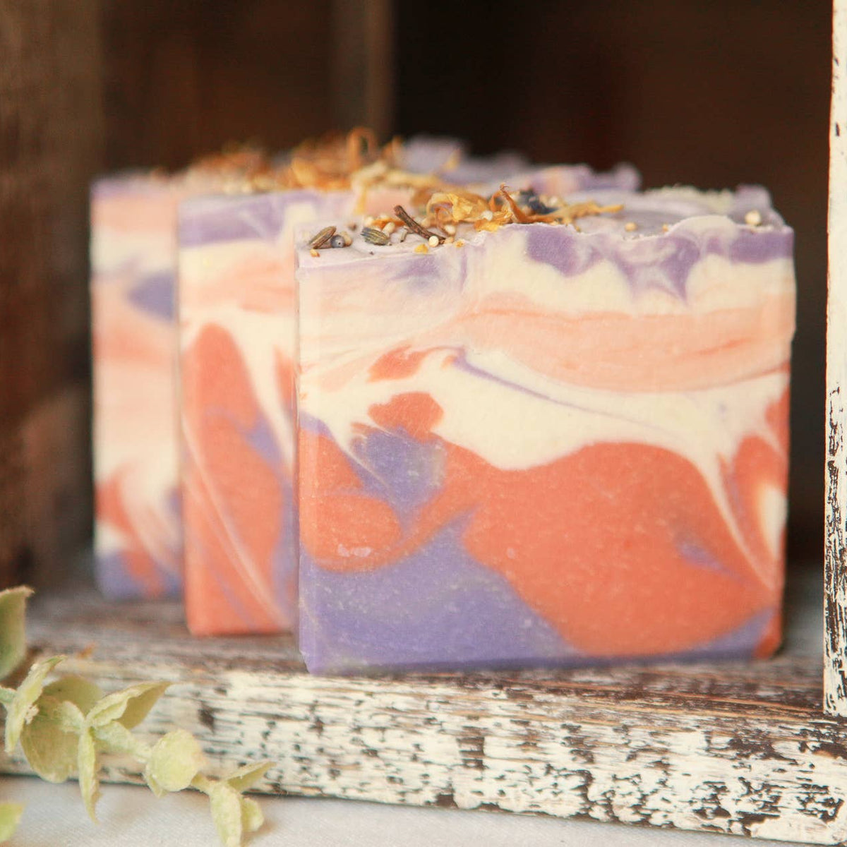 Three colorful soap bars in a wooden display case with greenery.
